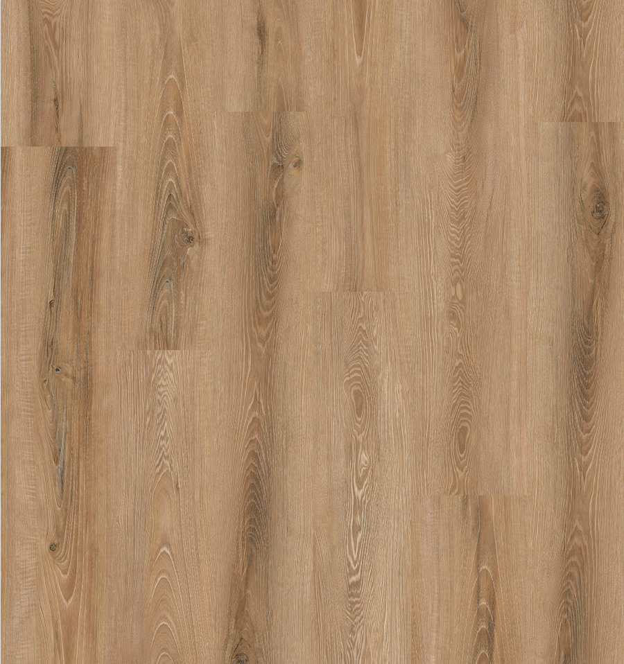 Roble 6