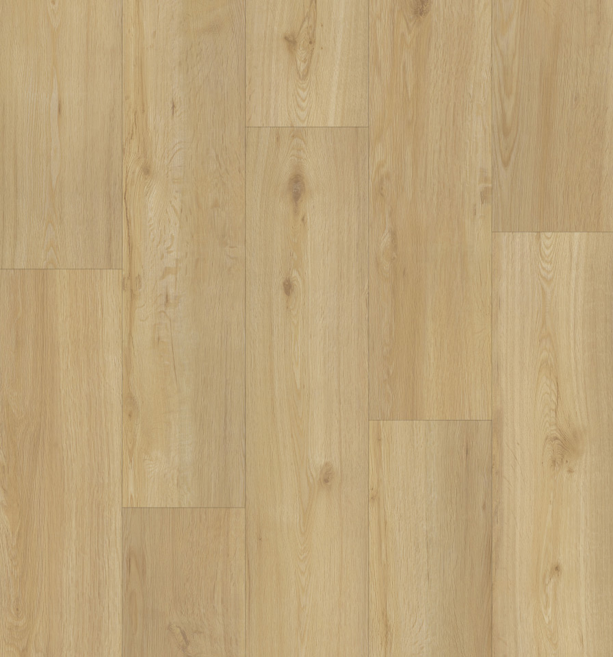 Roble 7